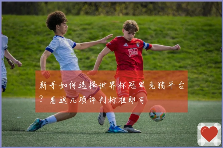 新手如何选择世界杯冠军竞猜平台?看这几项评判标准即可